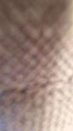 TheLastBebos — Cam4 stream photo (Apr 2026)