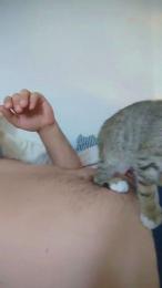 Chefsausage92 — Cam4 profile photo
