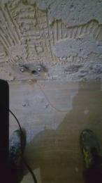 fonzieperver — вебкам-модель онлайн на cam4