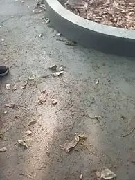 andresj22hot — вебкам-модель онлайн на stripchat