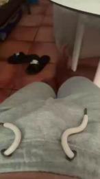 Potrocala1 — Cam4 stream photo (Jun 2026)