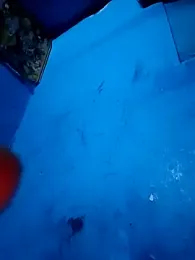 ruchigoutam — Stripchat profile photo