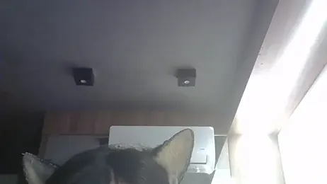 SkinnyKitten — Stripchat stream photo (Apr 2026)