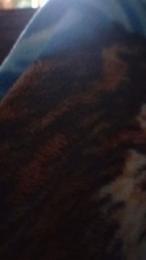 Muyganoso24 — Cam4 profile photo