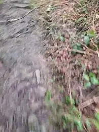 FreezingTie850 — Stripchat stream photo (Mar 2026)