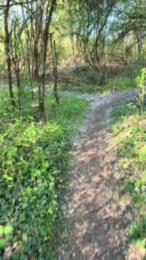 Justfunfranko — Cam4 stream photo (Apr 2026)