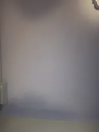 RileyFlame — Stripchat stream photo (Jan 2026)