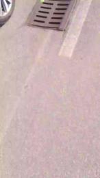 minex2 — Cam4 stream photo (Feb 2026)