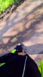 Bigdick95daddy — вебкам-модель онлайн на cam4