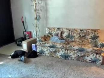 kaiku77 — chaturbate