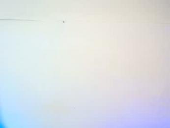 arivega — вебкам-модель онлайн на chaturbate