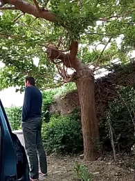 BZH45 — вебкам-модель онлайн на stripchat