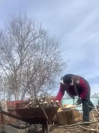 Frosl — Stripchat stream photo (Apr 2026)