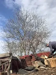 Frosl — Stripchat stream photo (Apr 2026)