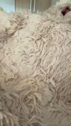 nicoypao — Cam4 stream photo (Mar 2026)