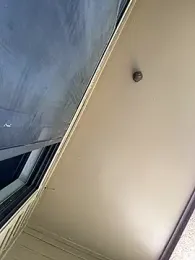 Bbyboyivan — Stripchat stream photo (Apr 2026)