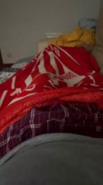 barba_roja — Cam4 stream photo (Nov 2025)