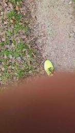 Chicoo20155 — Cam4 stream photo (Mar 2026)