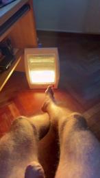 player66992 — Cam4 stream photo (Feb 2026)