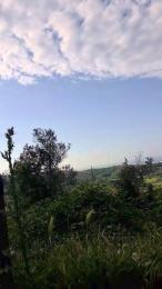 uncutcockitaly — вебкам-модель онлайн на cam4