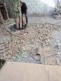 HomHot47 — Stripchat stream photo (Mar 2026)