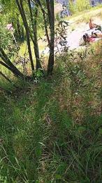 RUSbiNN — Cam4 stream photo (Jul 2026)