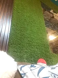 SHANVII — Stripchat stream photo (Jul 2026)