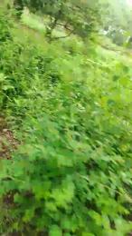 sPuNstroker — Cam4 stream photo (May 2026)