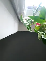 Czarnoksieznik — Stripchat stream photo (Nov 2025)