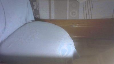 perrako_cerd — Cam4 stream photo (Mar 2026)