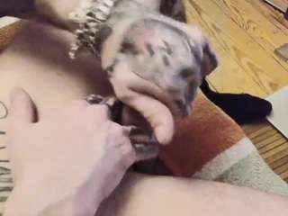 huebscherschwanz — camsoda