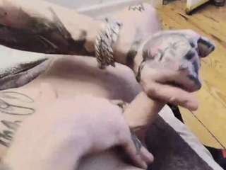 huebscherschwanz — вебкам-модель онлайн на camsoda