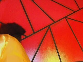 Sharlot Ruiz — вебкам-модель онлайн на flirt4free