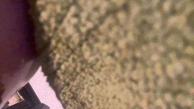 Emmataylor4u — Cam4 stream photo (May 2025)