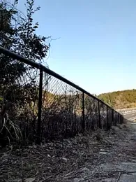 shin_04ji — Stripchat stream photo (Mar 2026)