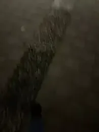 Foxfoxfox4 — вебкам-модель онлайн на stripchat