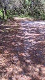 masterchamp01 — Cam4 stream photo (Mar 2026)