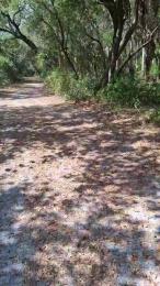 masterchamp01 — Cam4 stream photo (Mar 2026)