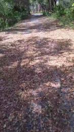 masterchamp01 — Cam4 stream photo (Mar 2026)