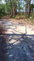 masterchamp01 — Cam4 stream photo (Mar 2026)