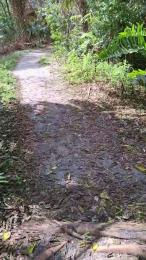 masterchamp01 — вебкам-модель онлайн на cam4