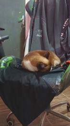 dot23cc — Cam4 stream photo (Aug 2026)