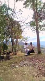 Remote_live — cam4
