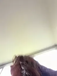Cuteandhornyy — Stripchat stream photo (Apr 2025)