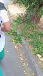 cesirry — Cam4 stream photo (Aug 2026)