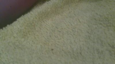 Lilidelice — Cam4 stream photo (Jun 2026)