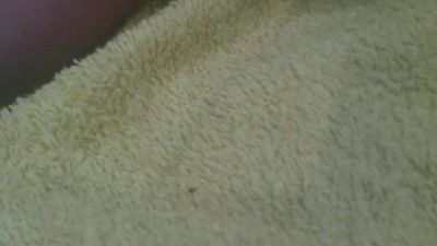 Lilidelice — Cam4 stream photo (Jun 2026)