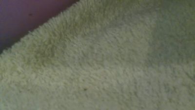 Lilidelice — Cam4 stream photo (Jun 2026)