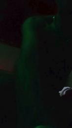 daddybearmadri5 — Cam4 profile photo