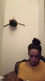 Nereitatenn1 — Cam4 stream photo (Jun 2026)